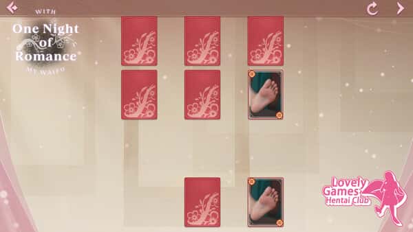 一夜风流 One Night of Romance with my waifu封面